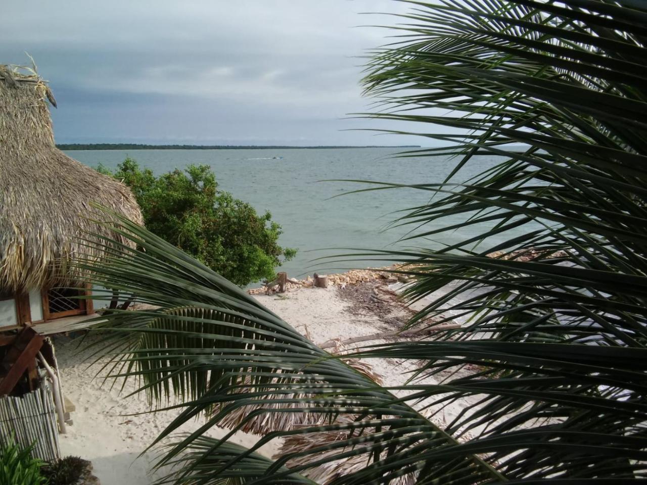 Hotel Casa Sattva- Bed & Breakfast Rincon Luaran gambar